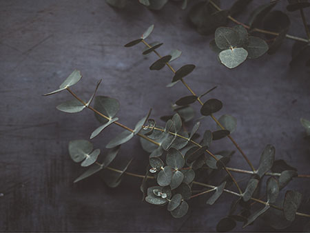 Byron Bay Branding Design Gold Coast